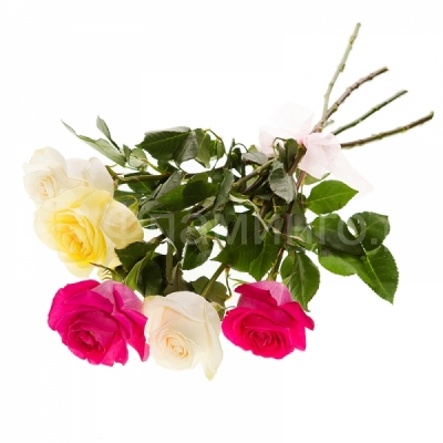 Розы код 676  5 разноцветных роз