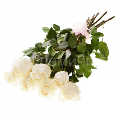 Розы код 657  7 белых роз 